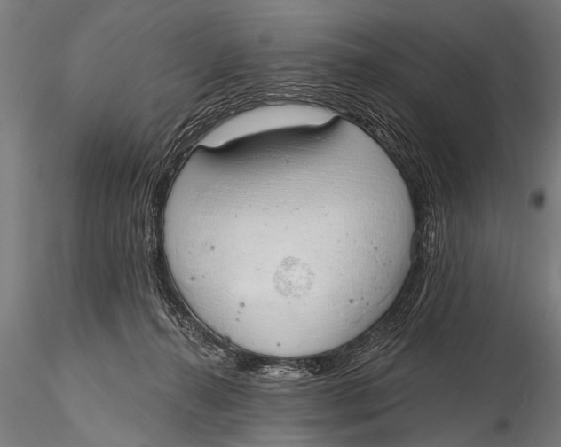 X0000116110272200912141028