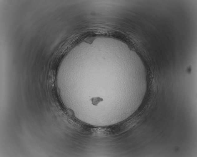 X0000116110273200912141028