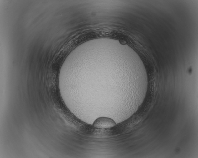 X0000116110274200912141028