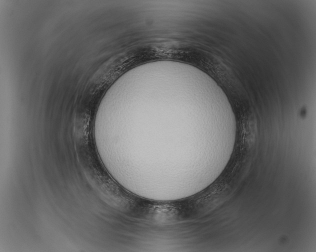 X0000116110275200912141028