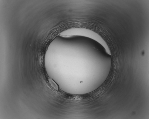 X0000116110276200912141028