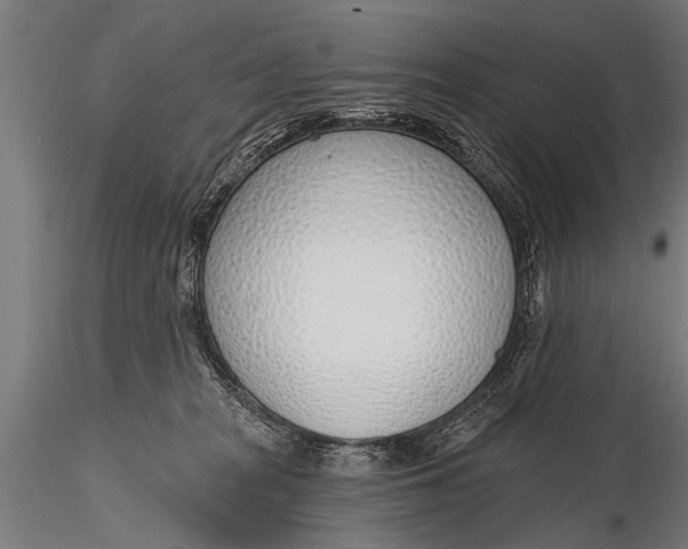 X0000116110277200912141028