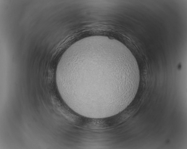 X0000116110278200912141028