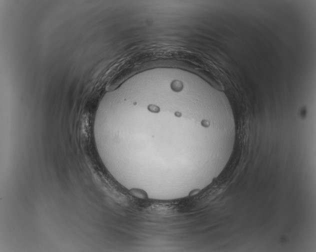 X0000116110280200912141028