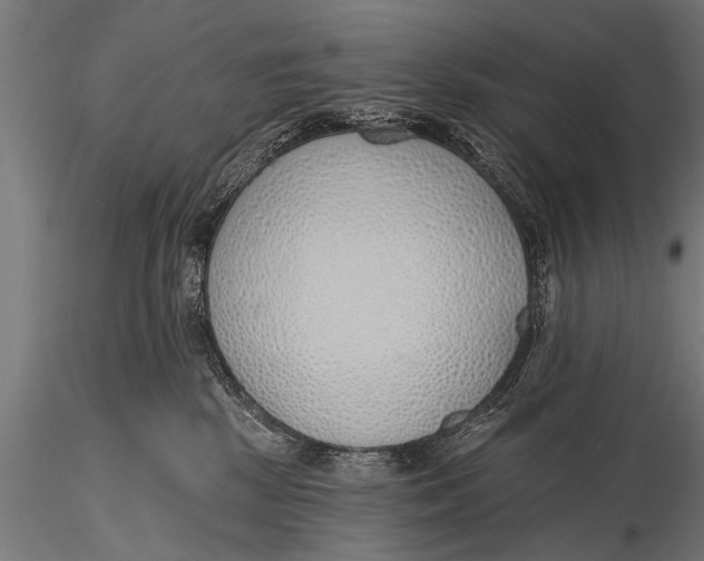 X0000116110281200912141028