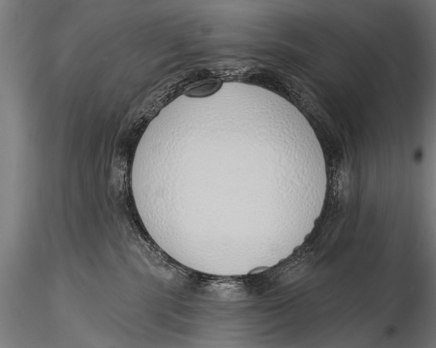 X0000116110283200912141028