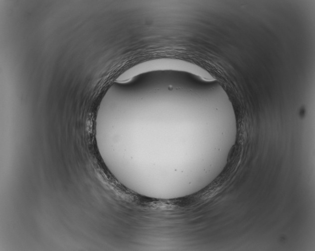 X0000116110284200912141028