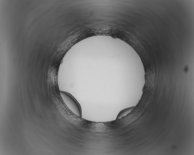 X0000116110287200912141028