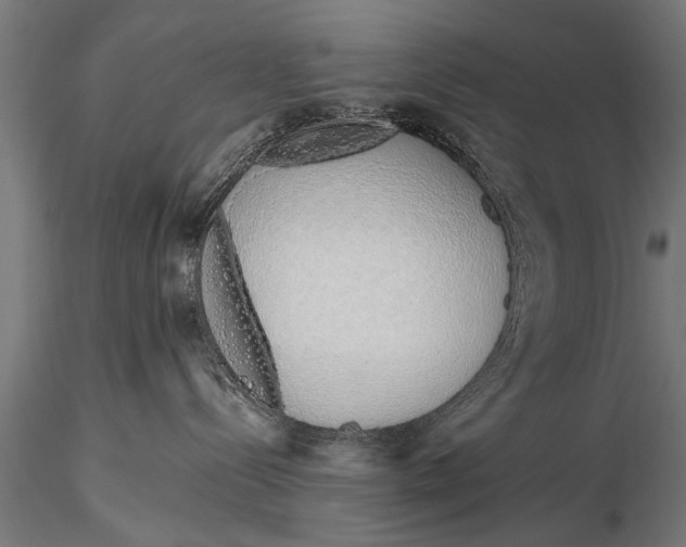 X0000116110288200912141028