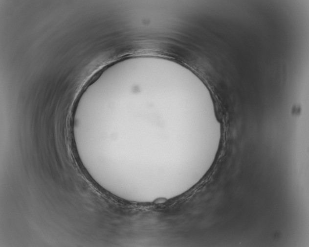 X0000116110289200912141027