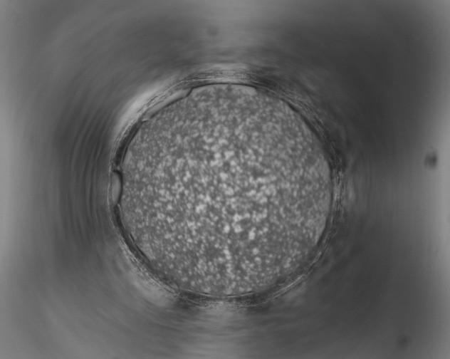 X0000116110293200912141027