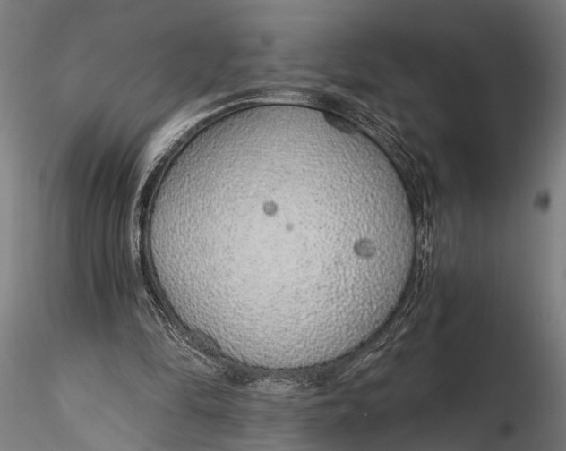 X0000116110294200912141027