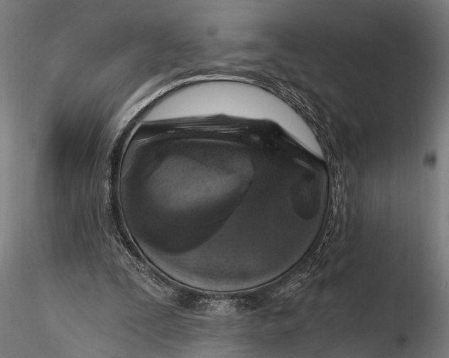 X0000116110295200912141027