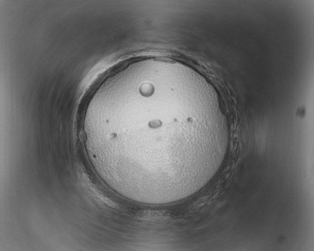 X0000116110296200912141027