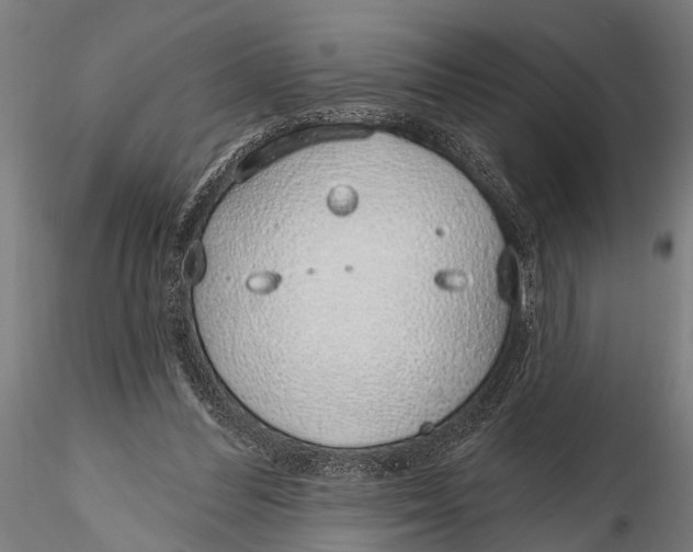 X0000116110300200912141027