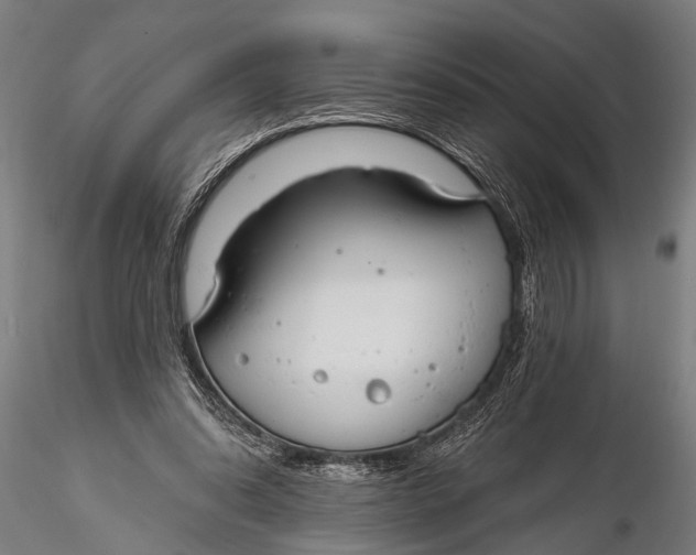 X0000116110302200912141027