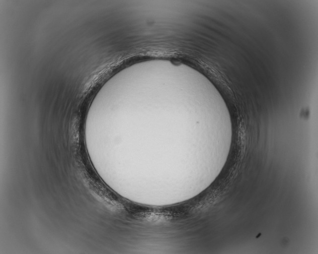 X0000116110303200912141027