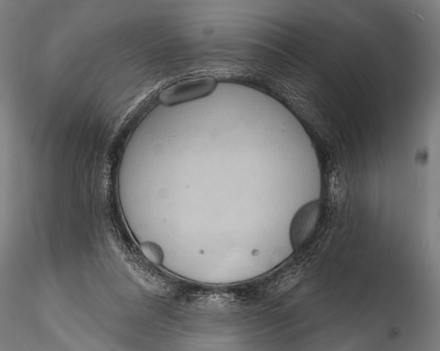 X0000116110304200912141027