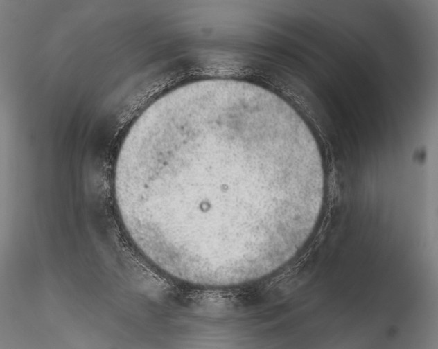 X0000116110305200912141027