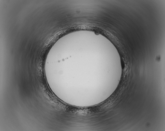 X0000116110306200912141027