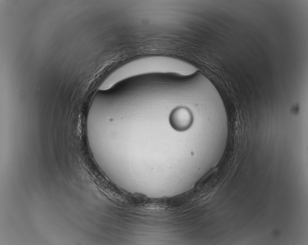 X0000116110308200912141027