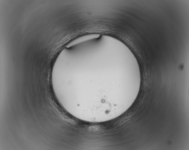 X0000116110309200912141027