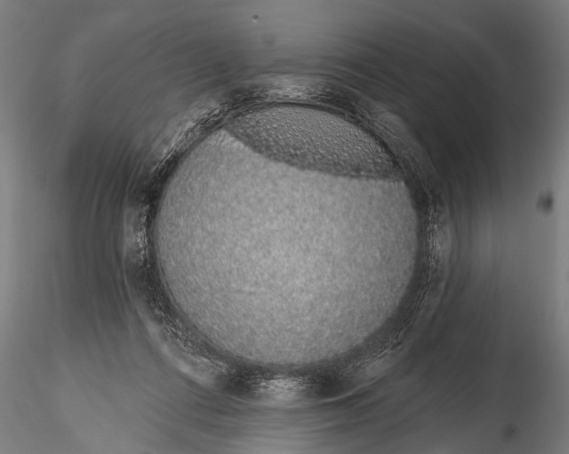 X0000116110312200912141027