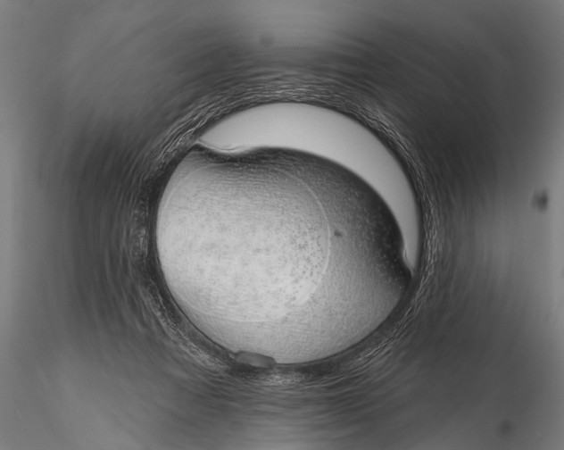 X0000116110313200912141027