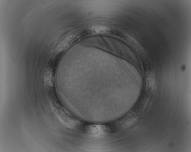 X0000116110316200912141027