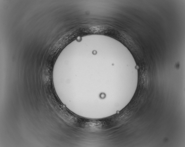 X0000116110317200912141027