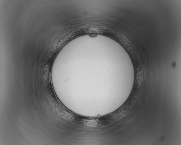 X0000116110318200912141027