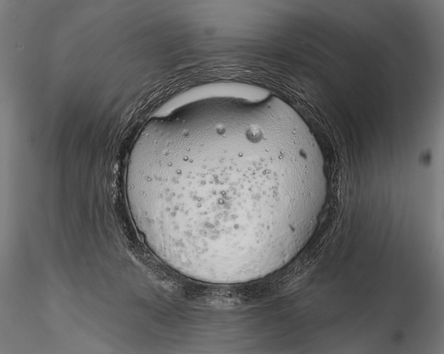 X0000116110319200912141027