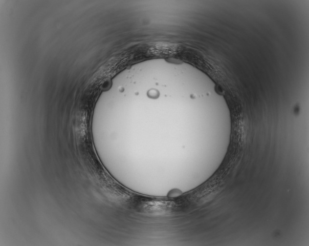 X0000116110323200912141027