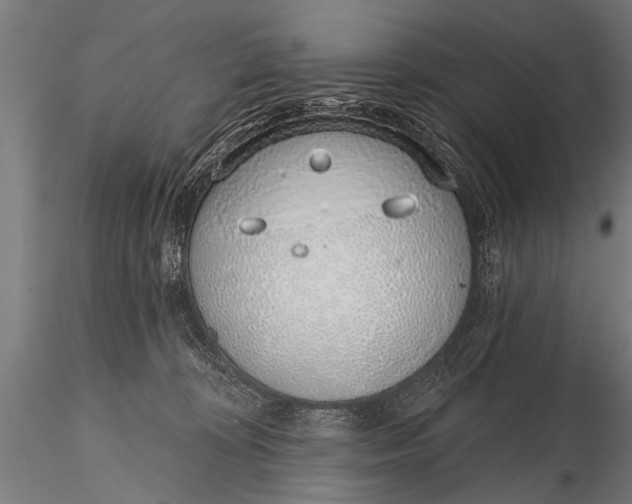 X0000116110324200912141027