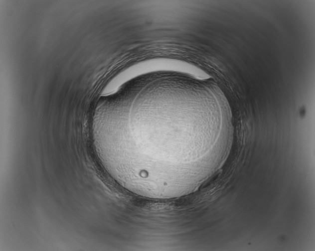 X0000116110327200912141027