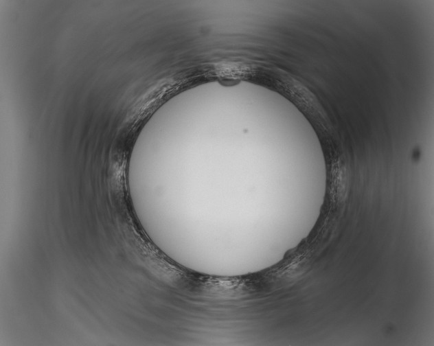 X0000116110329200912141027