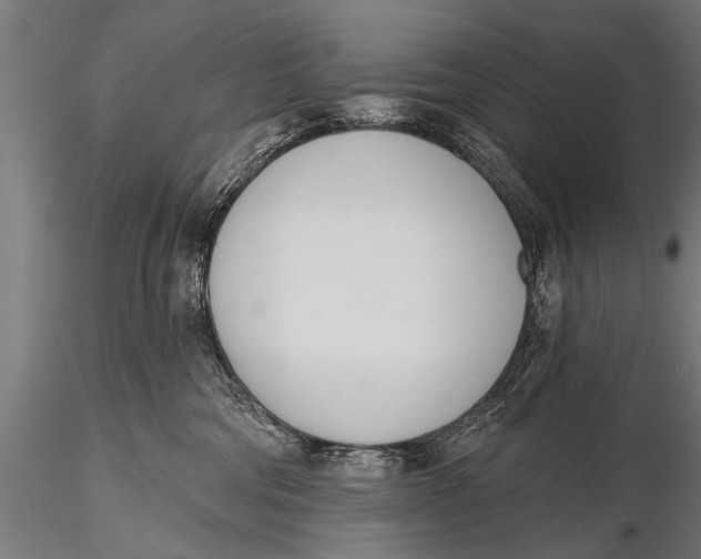 X0000116110330200912141027