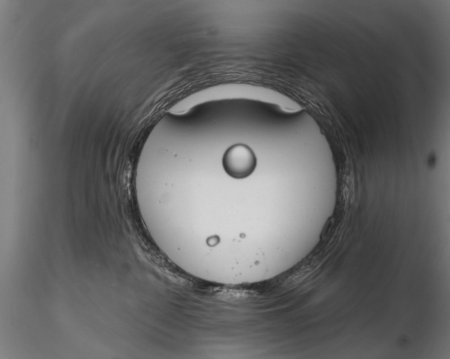 X0000116110332200912141027