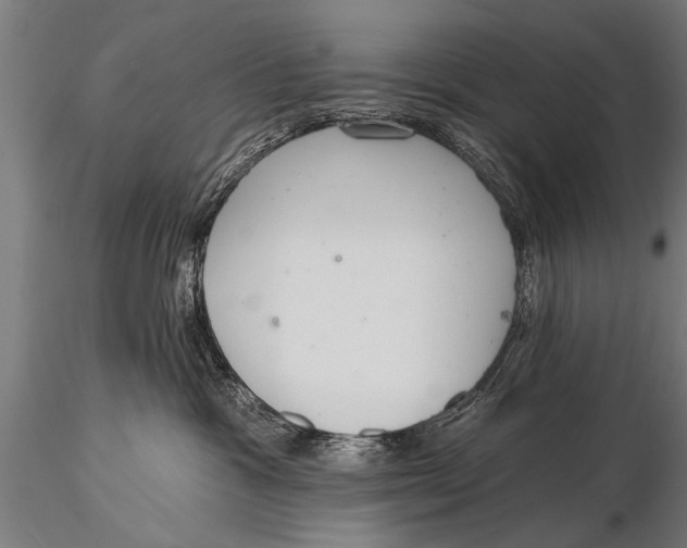 X0000116110333200912141027