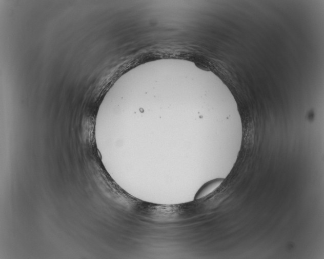 X0000116110335200912141027