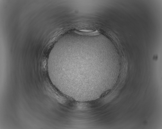 X0000116110336200912141027