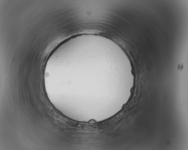 X0000116110337200912141026