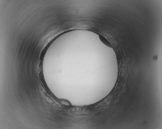 X0000116110338200912141026