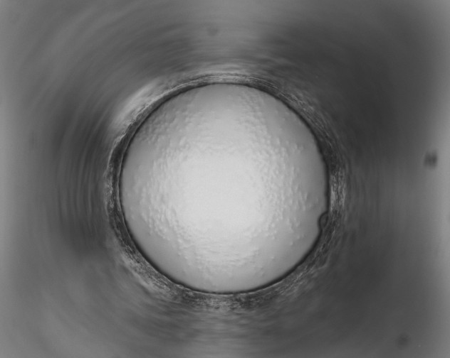 X0000116110339200912141026