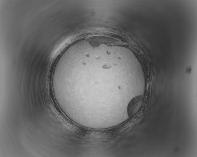 X0000116110341200912141026