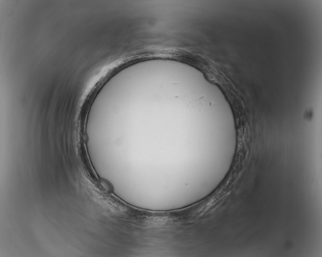 X0000116110342200912141026