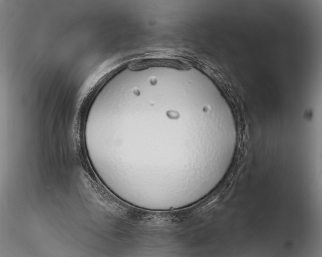 X0000116110343200912141026