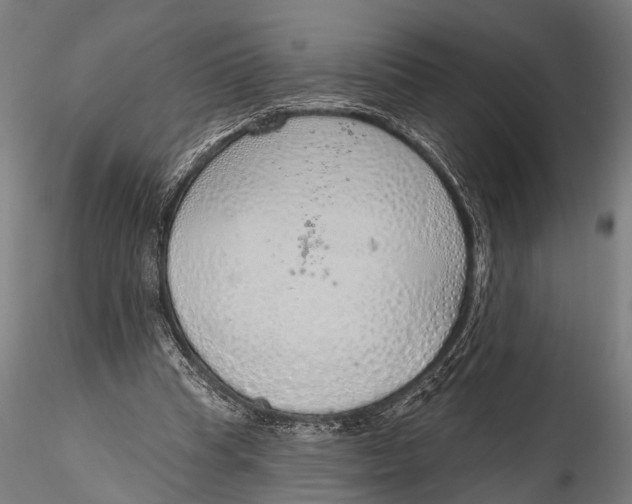 X0000116110345200912141026