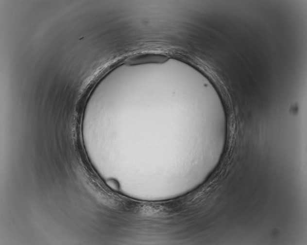 X0000116110346200912141026