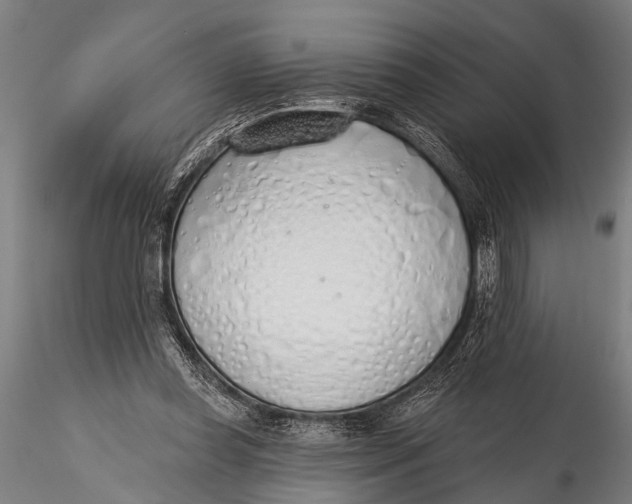 X0000116110349200912141026